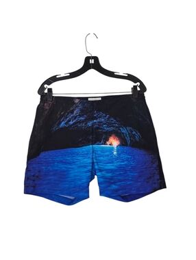 Bluemint Men's Blue Swim Shorts Ocean Cave Print Men's 34 Summer Resortwear